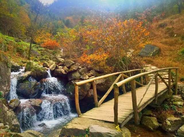 观察者